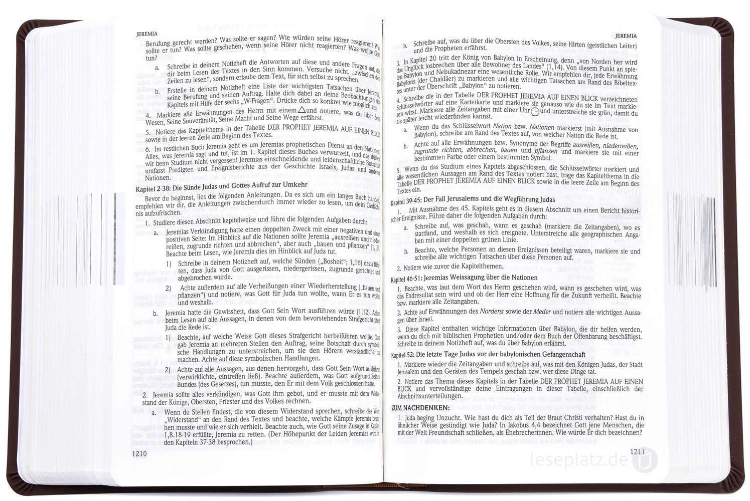 Die Neue Induktive Studienbibel - NISB (Schlachter 2000)