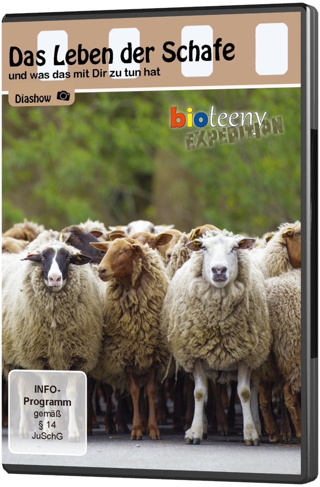Das Leben der Schafe - DVD (Diashow)