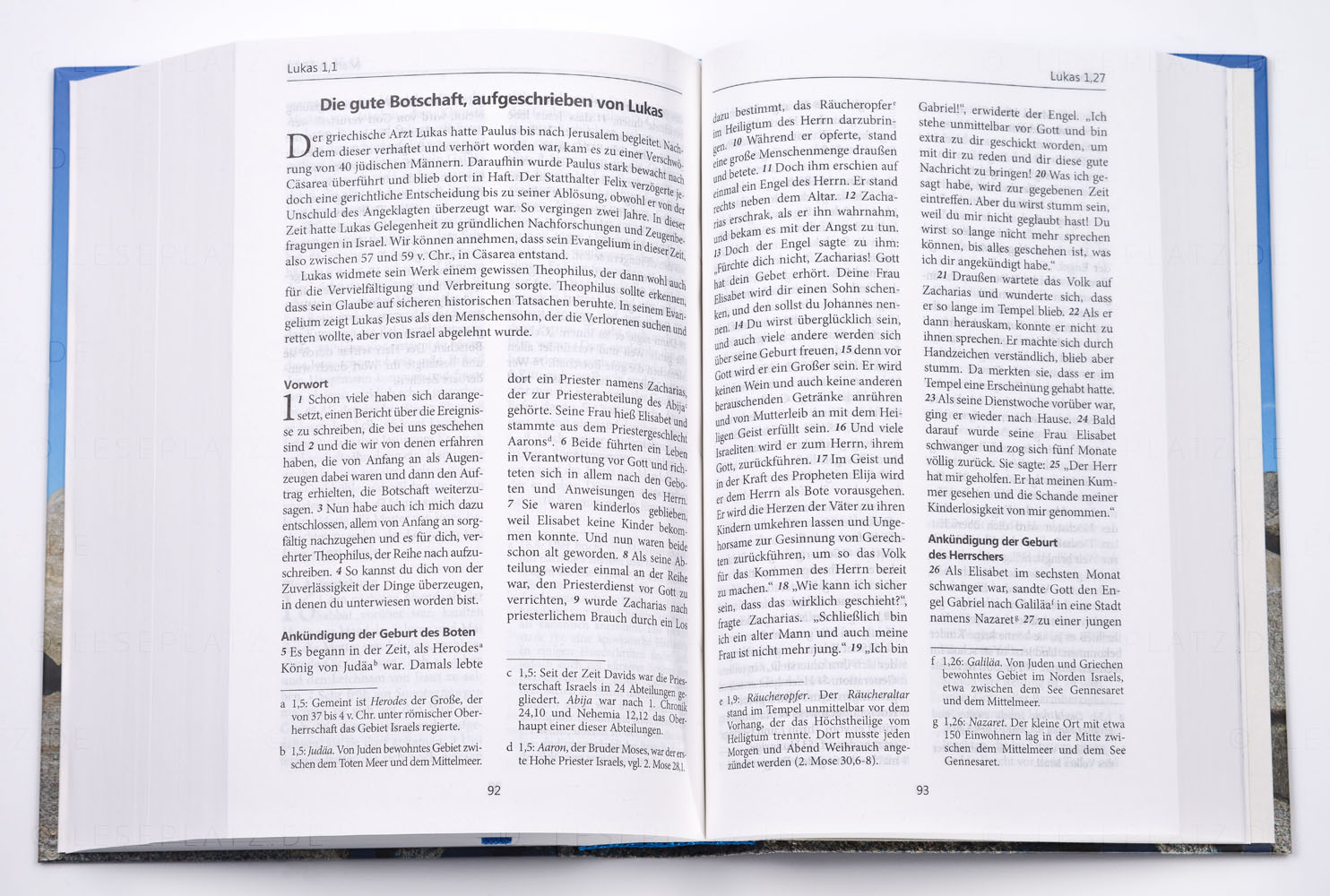 271315_09 NeÜ - Taschenausgabe "Motiv Leuchtturm"