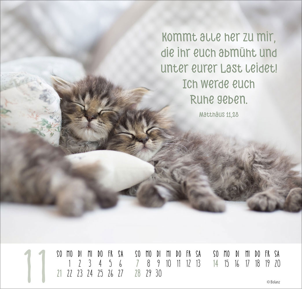 Beste Freunde - Ich mag dich  2027 - Posterkalender