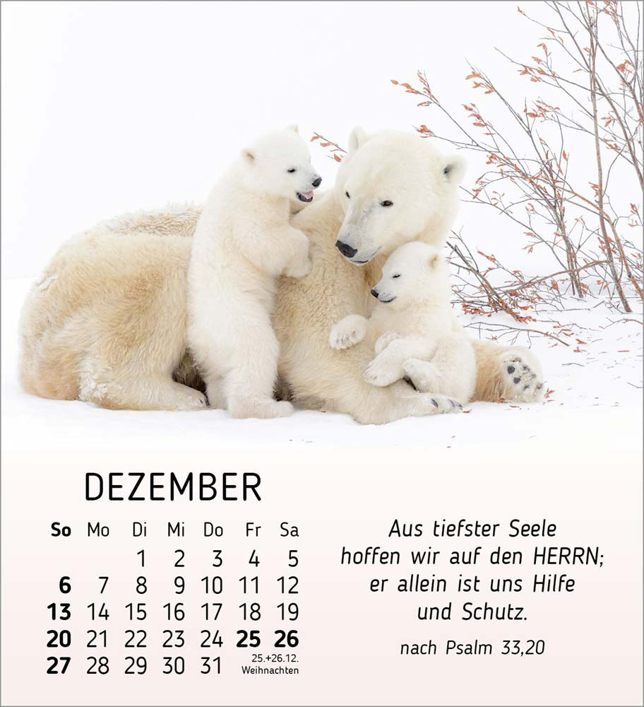 Meine kleinen Freunde 2026