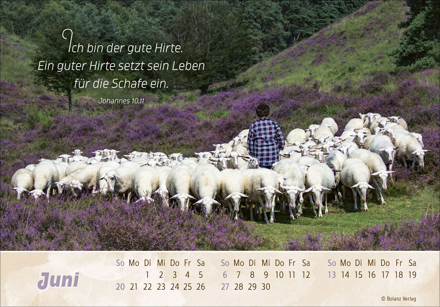 Der Gute Hirte 2027 - Postkartenkalender