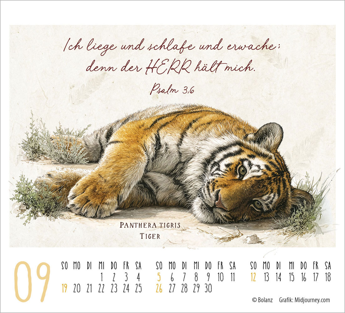 KunstWerke des Schöpfers 2027- Minikalender