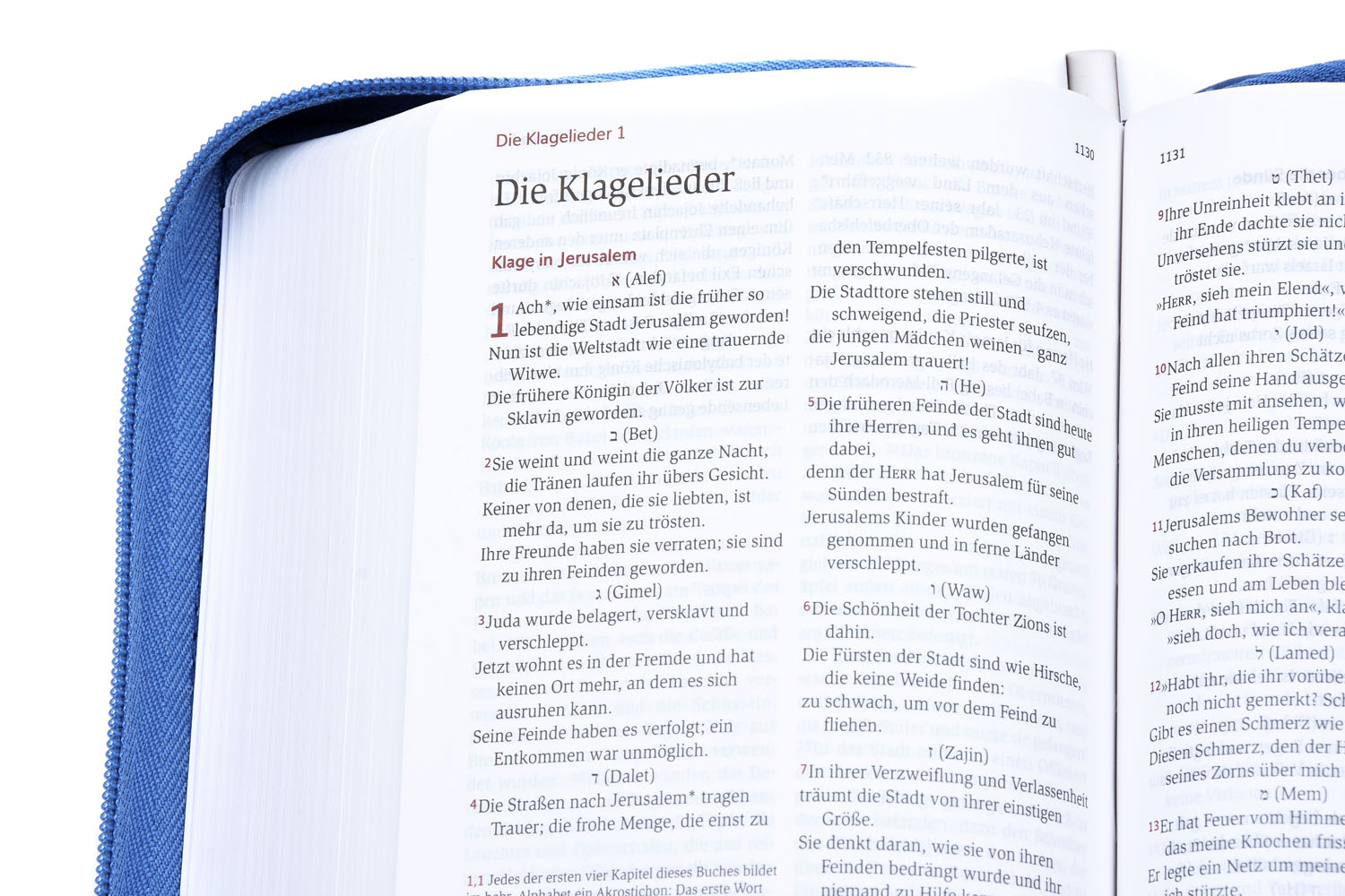 Neues Leben. Die Bibel - Taschenausgabe - Kunstleder mit Reißverschluss