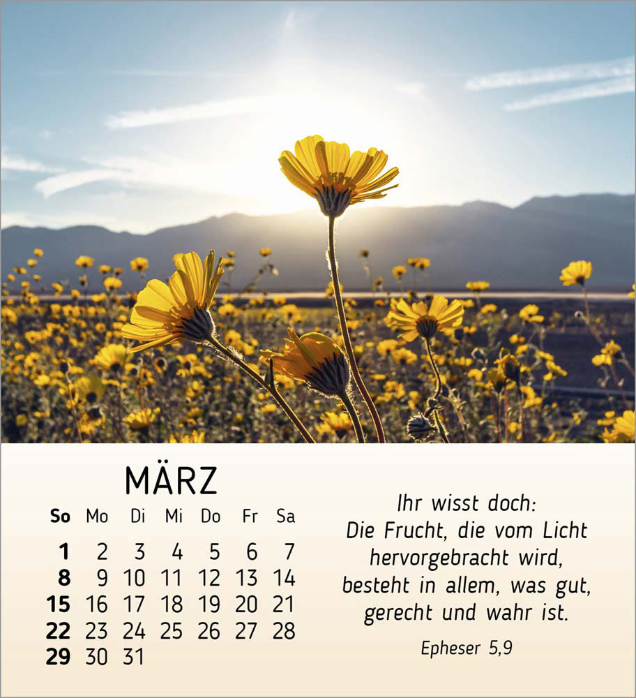 Schönheit des Lichts 2026 Schönheit des Lichts 2026