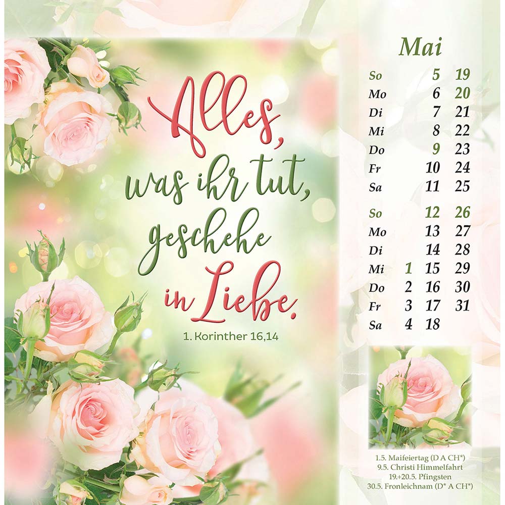Licht vom unerschöpften Lichte 2024 - Postkartenkalender Licht vom unerschöpften Lichte 2024 - Postkartenkalender