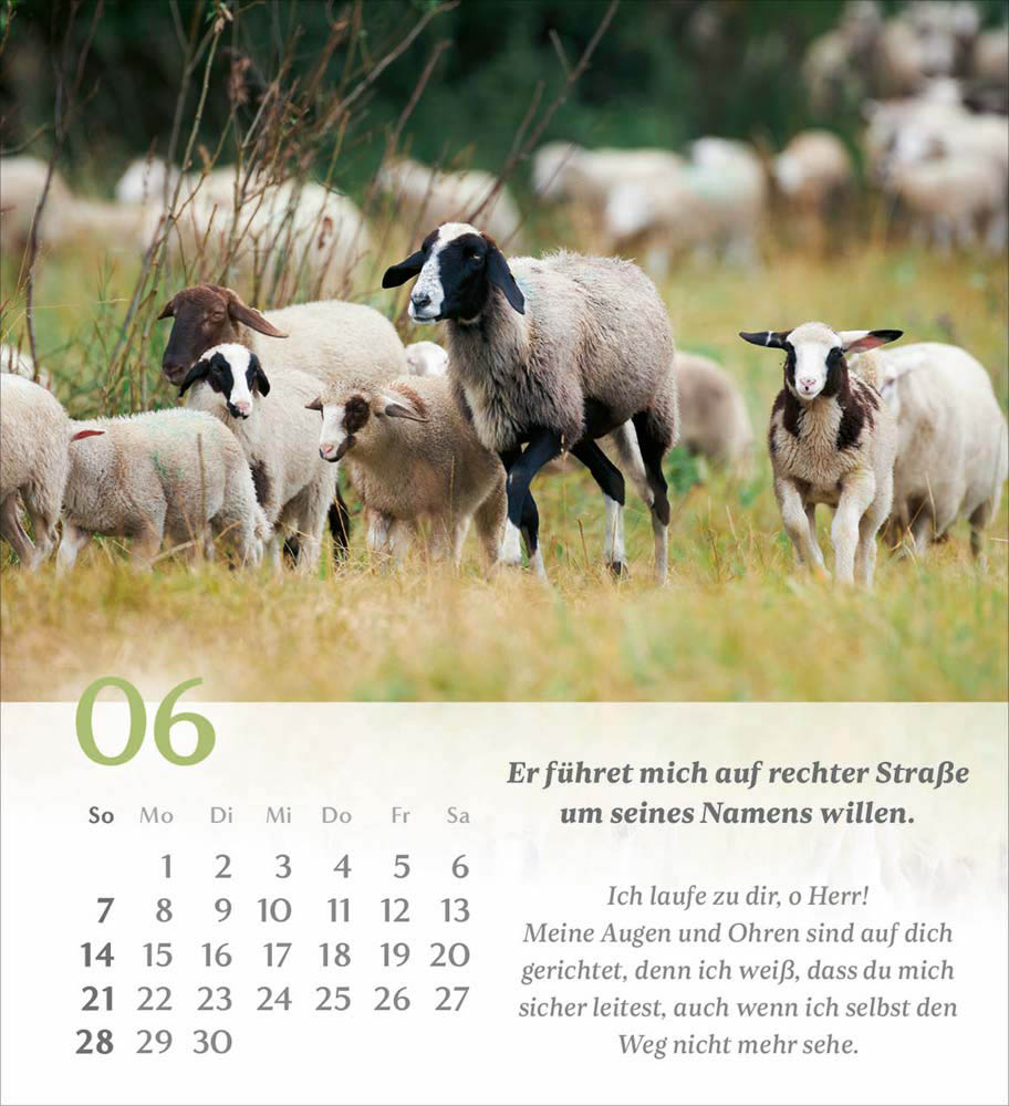 Psalm 23 - Tischkalender 2026