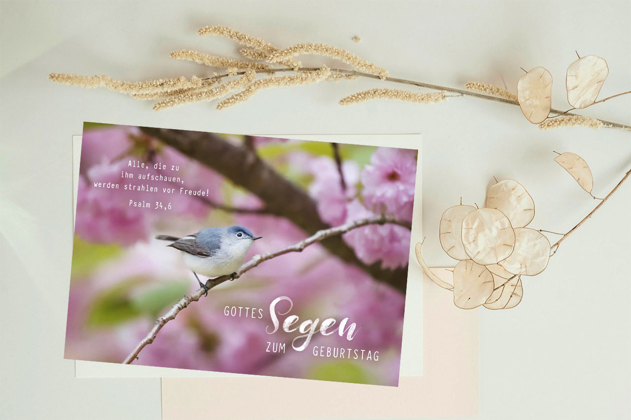 Postkarte "Gottes Segen zum Geburtstag"