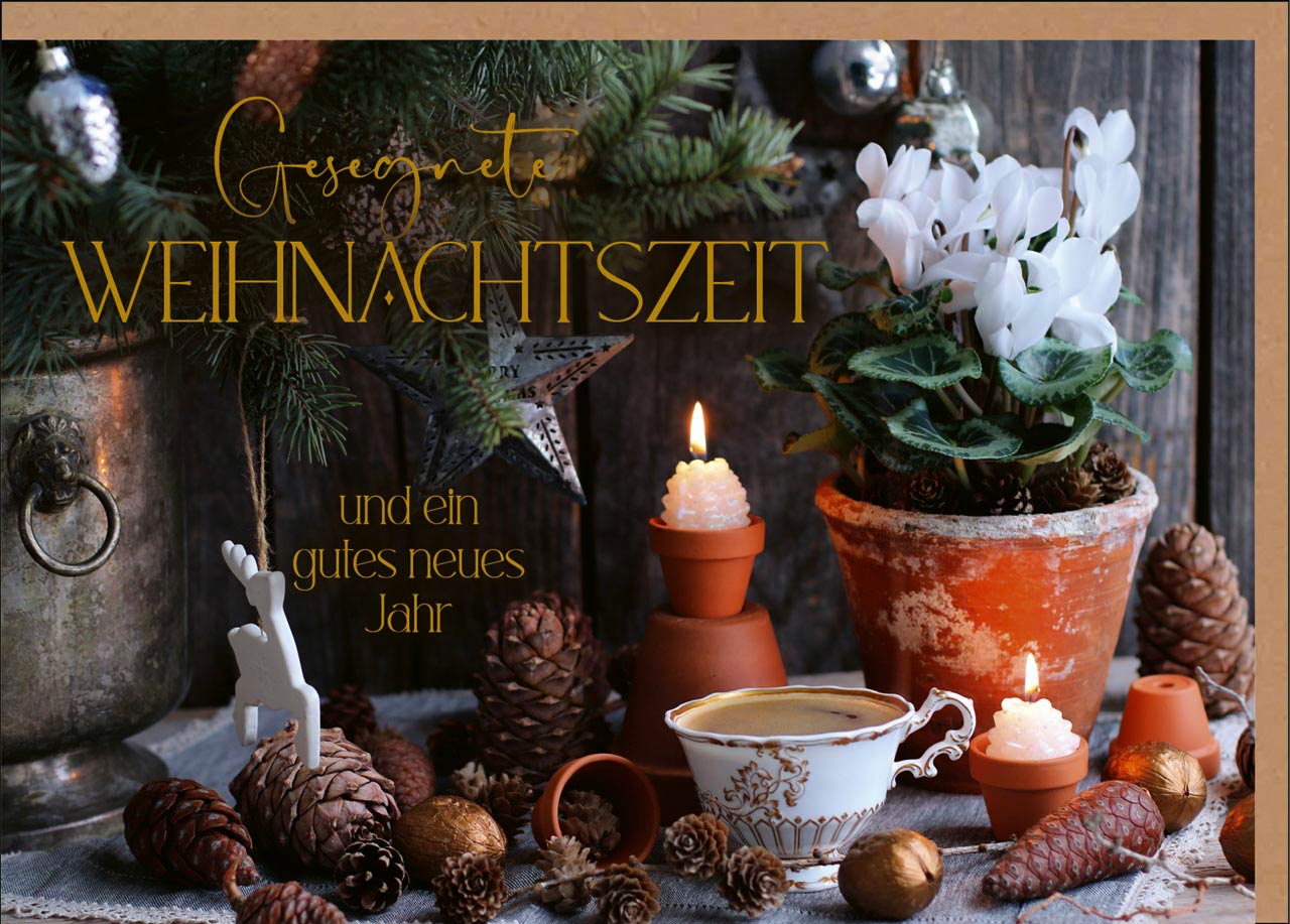 Faltkarte "Gesegnete Weihnachtszeit" (Tannenzapfen)