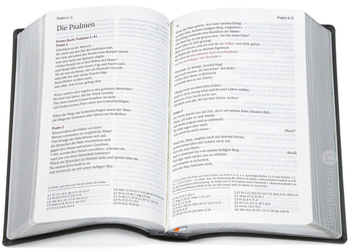 Neues Leben. Die Bibel - Standardausgabe - Kunstleder grau/ Silberschnitt