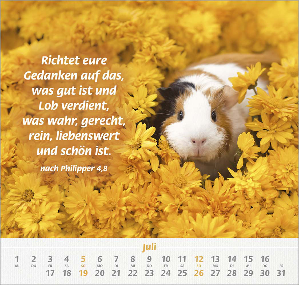 Ich hab dich gern 2026 - Wandkalender