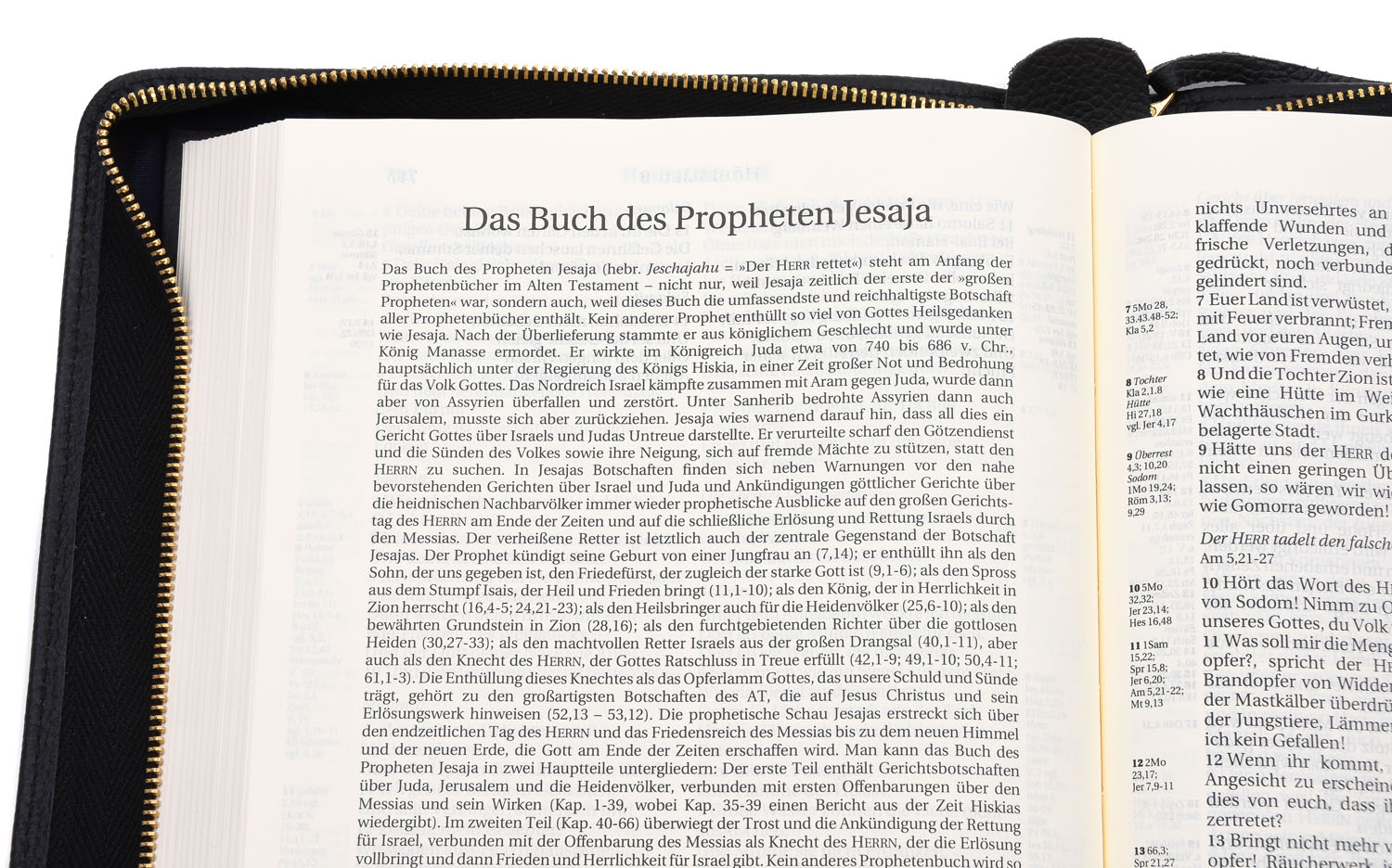 Schlachter 2000 Standardausgabe mit Echtleder-Bibelhülle