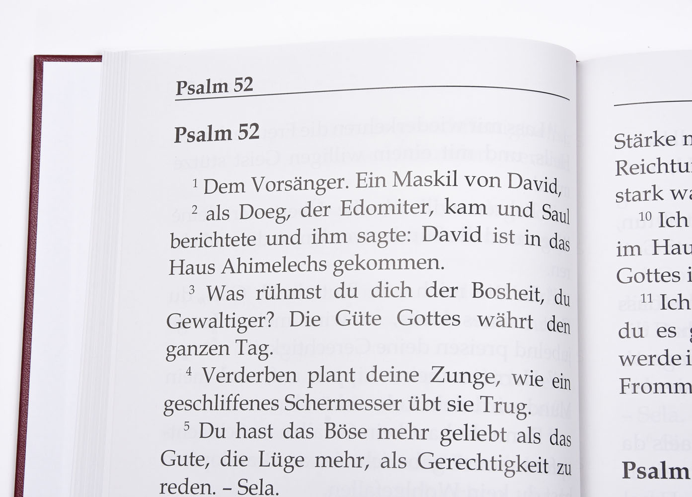 Elberfelder 2003 -  Die Psalmen in Großdruck