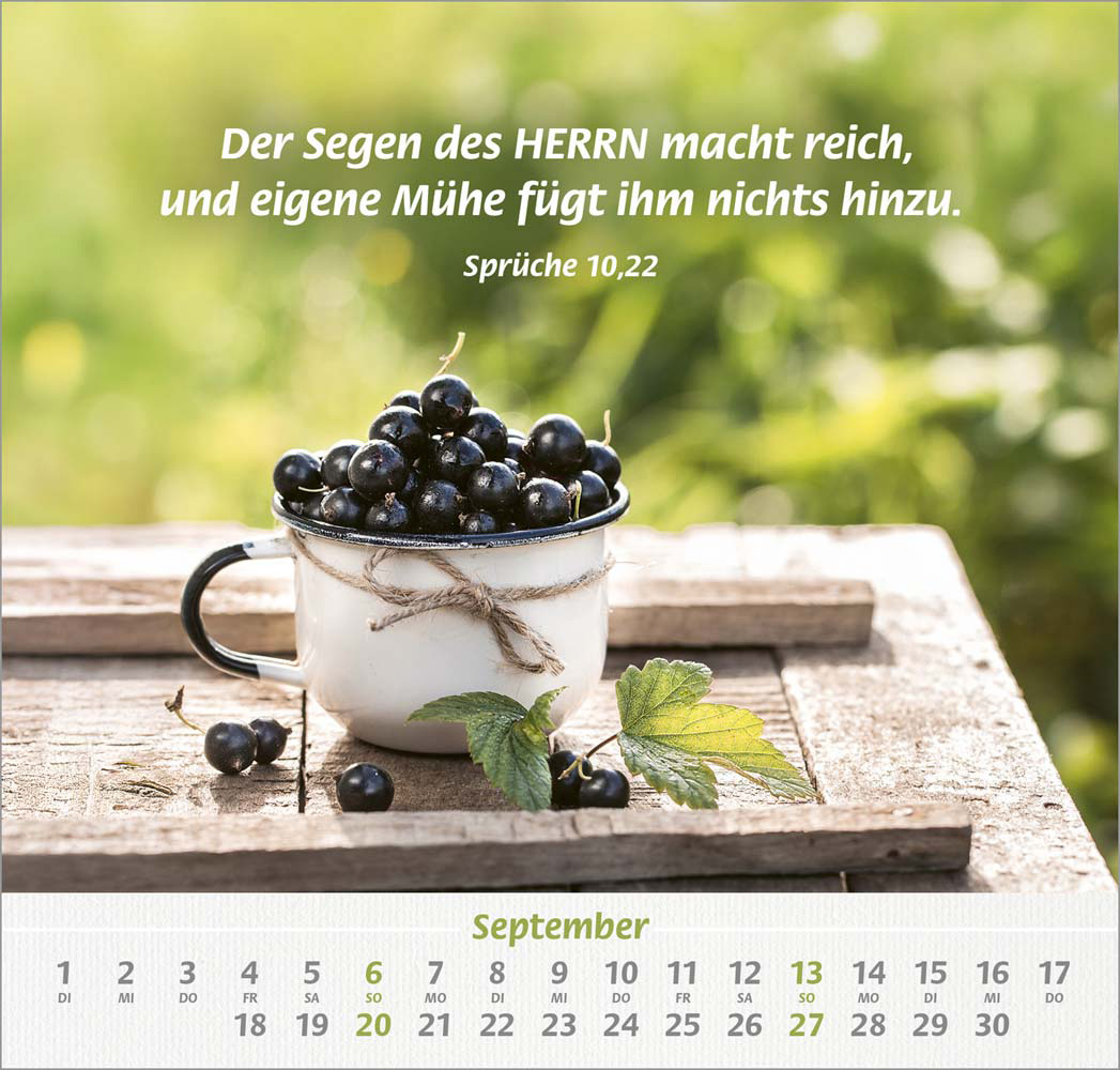 Denn du bist bei mir 2026 - Grossdruck-Kalender