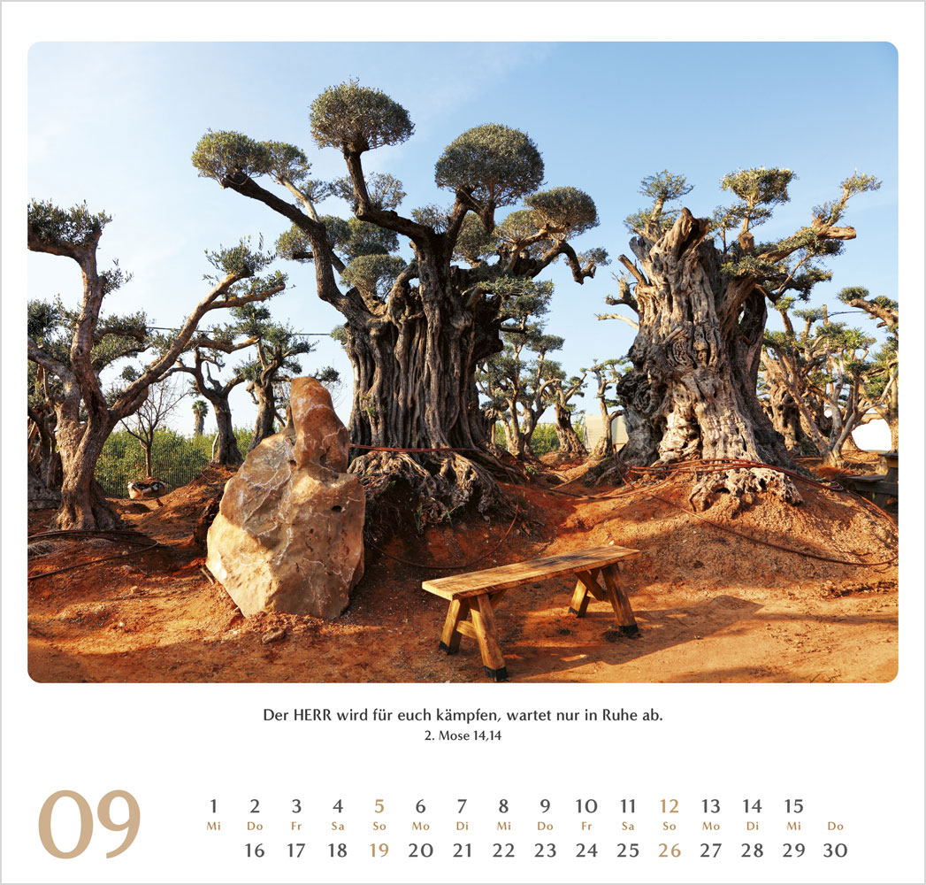 Geliebtes Israel 2027 - Wandkalender