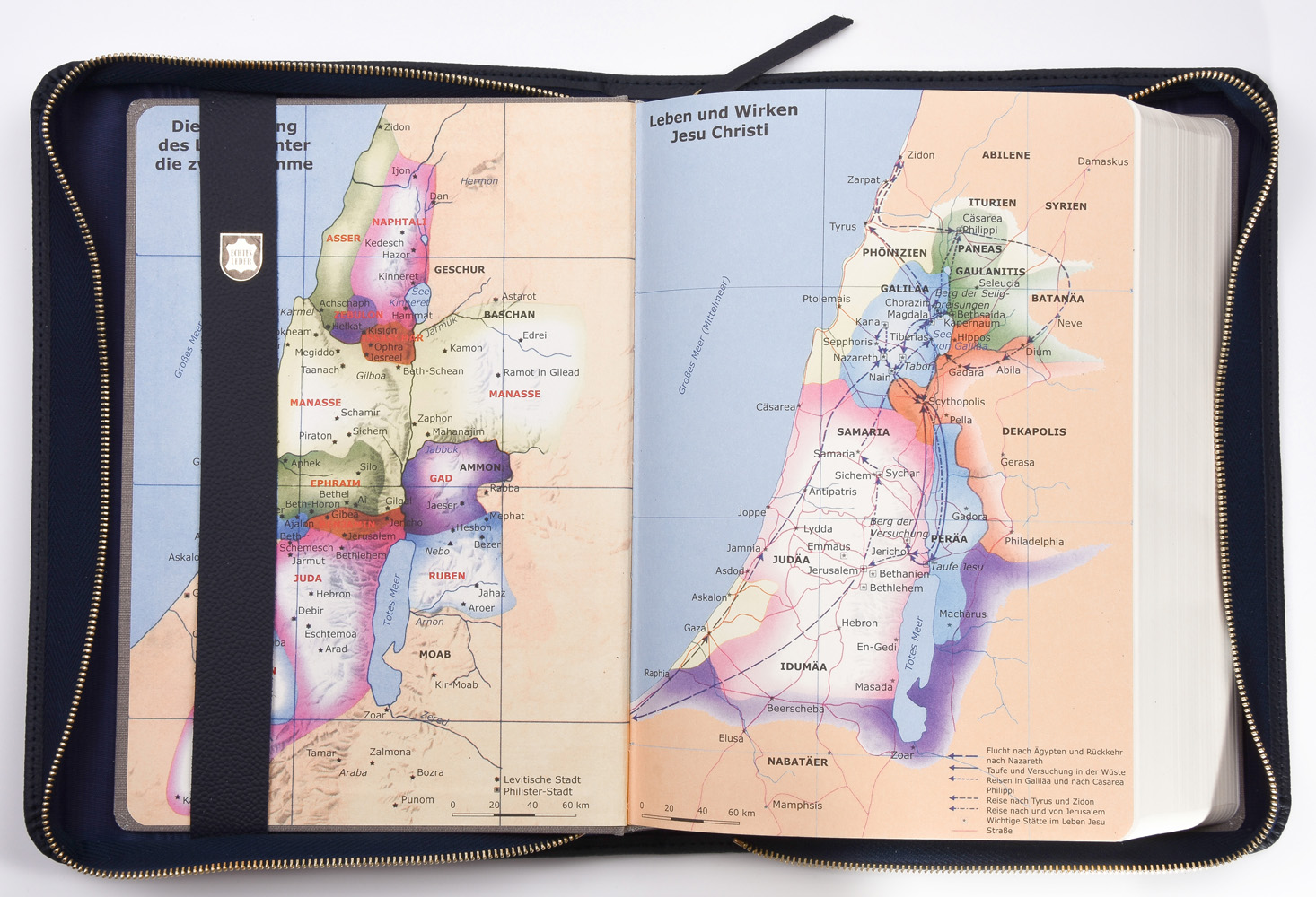 MacArthur Studienbibel mit Echtleder-Bibelhülle