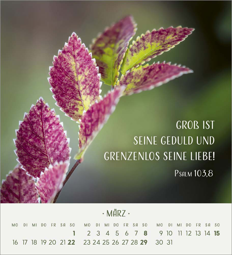 Zarte Blumengrüße 2026 - Tischkalender