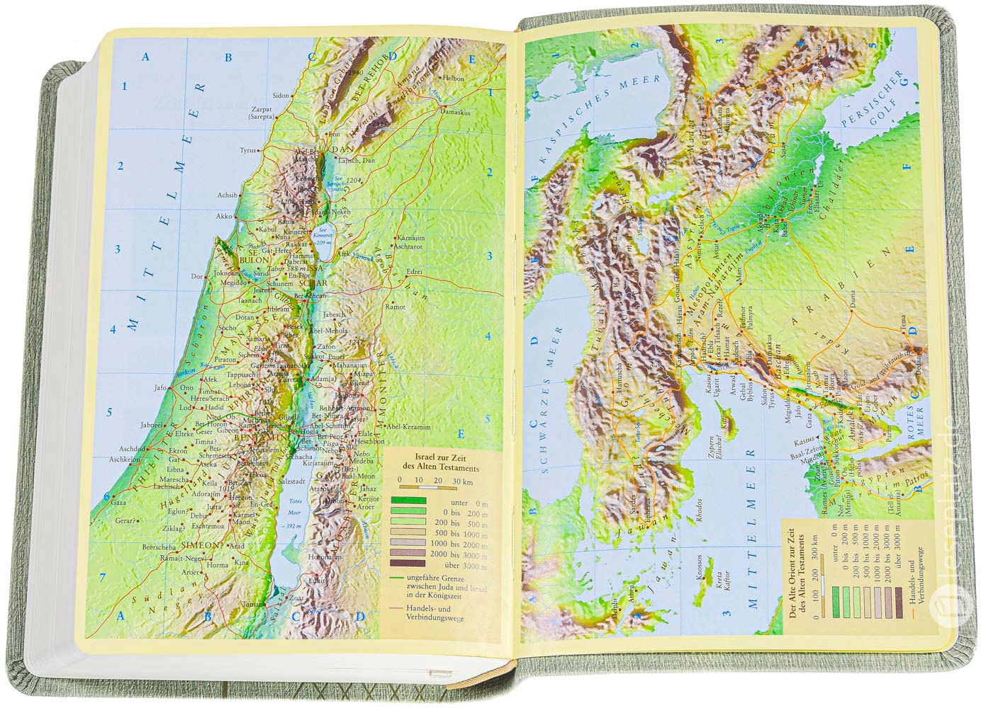 Neues Leben. Die Bibel - Taschenausgabe - Kunstleder grün