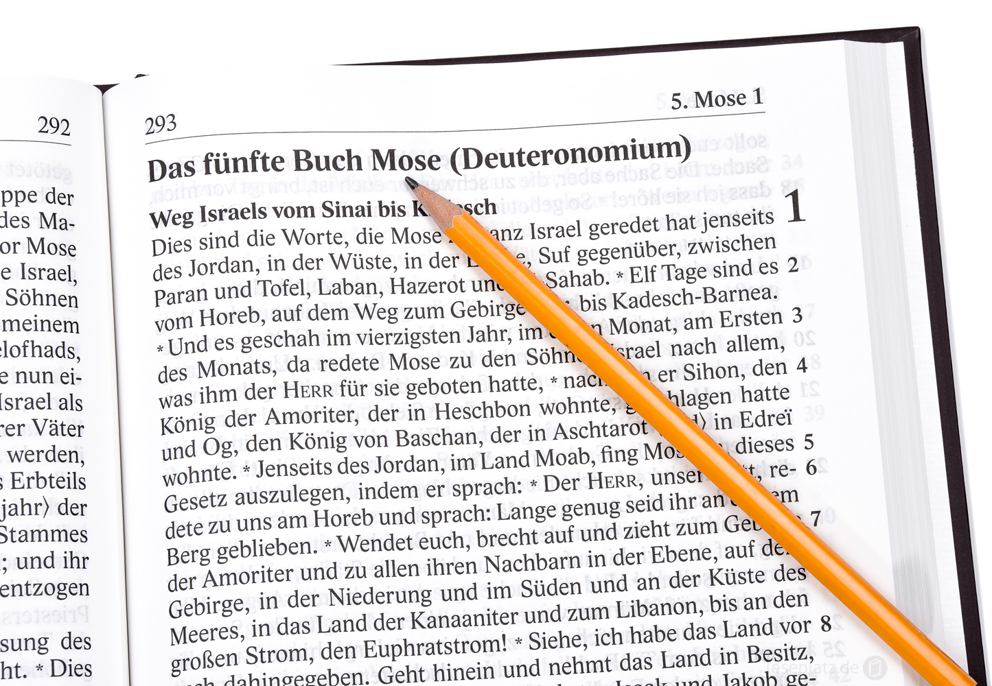 Elberfelder Bibel 2006 - Großdruckausgabe in 4 Bänden