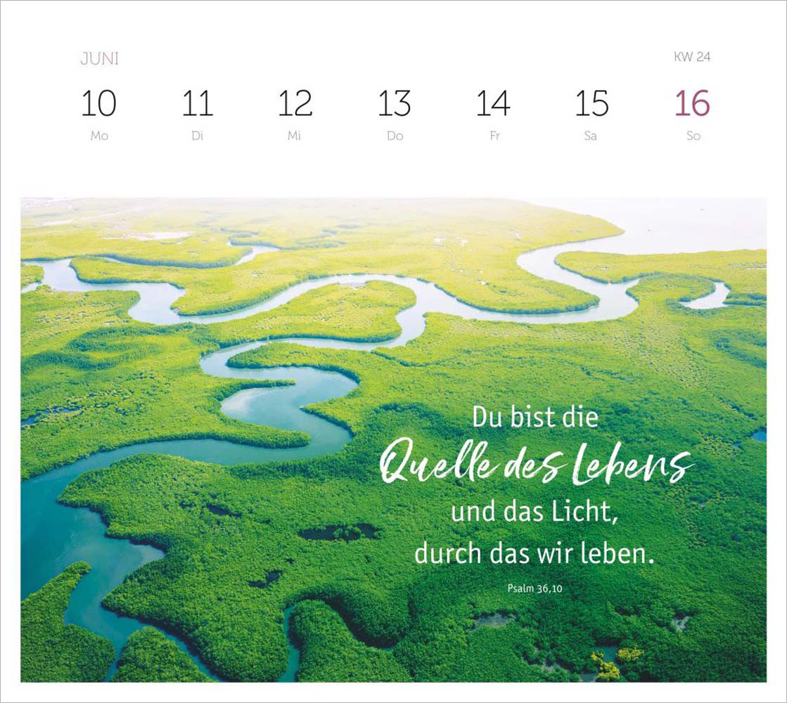 Grüne Wunder - blaue Weiten 2024 - Wochenplaner Grüne Wunder - blaue Weiten 2024 - Wochenplaner