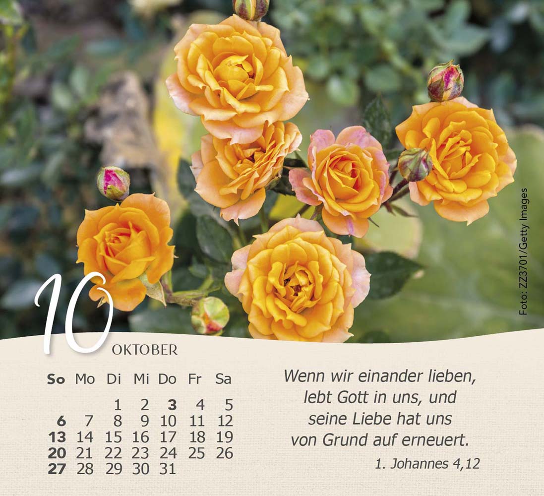 Rosen 2024 - Tischkalender Rosen 2024 - Tischkalender