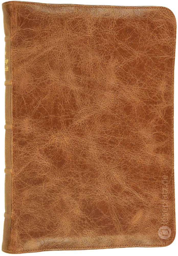 Elberfelder 2003 - kl.Schreibrandausgabe / Kalbsleder Toffee Unique Goldschnitt