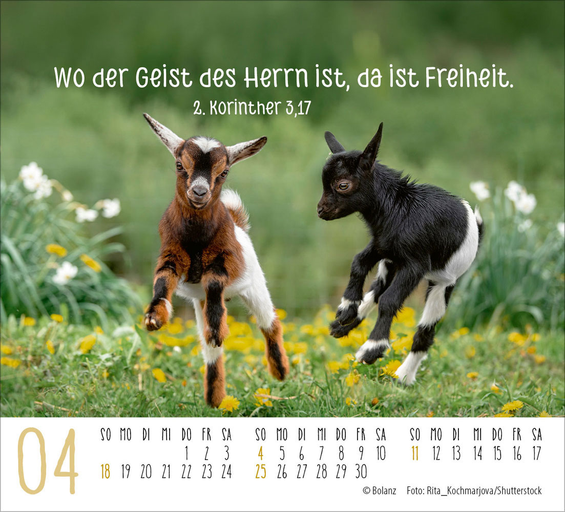 Begegnungen 2027 - Minikalender