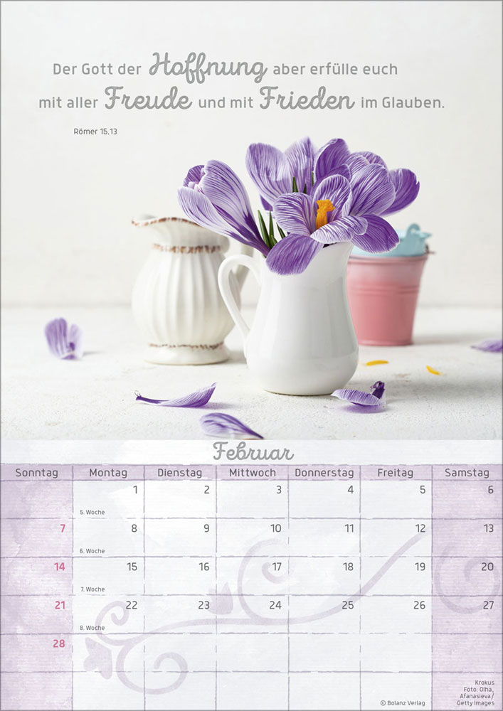 Momente der Freude 2027 - Wandkalender