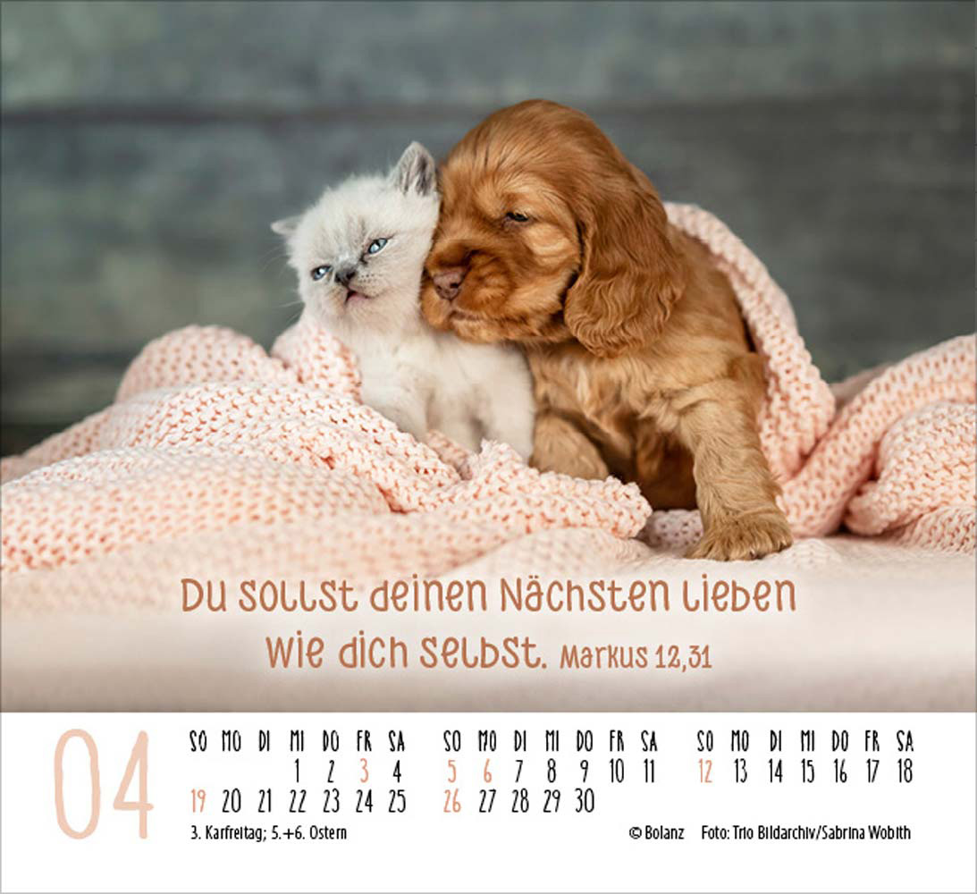 Begegnungen 2026 - Minikalender