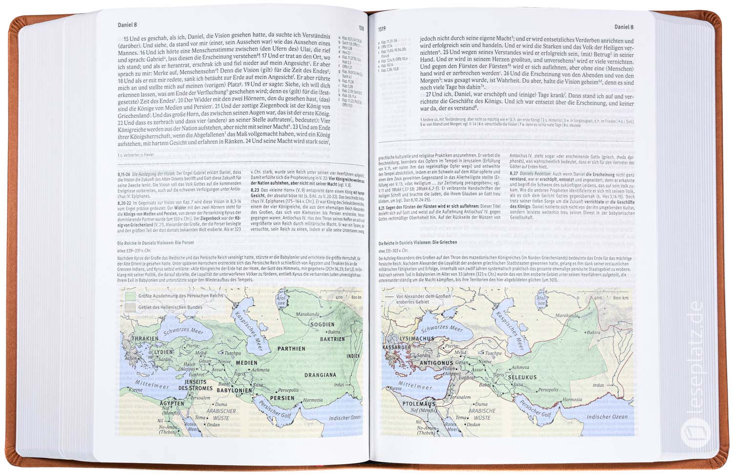 Elberfelder Bibel 2006 Studienausgabe - Kunstleder braun