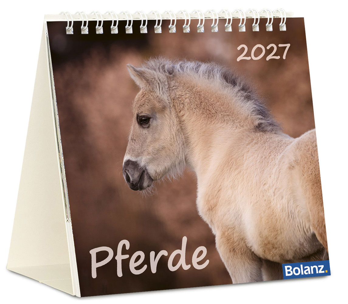 Pferde 2027 - Tischkalender