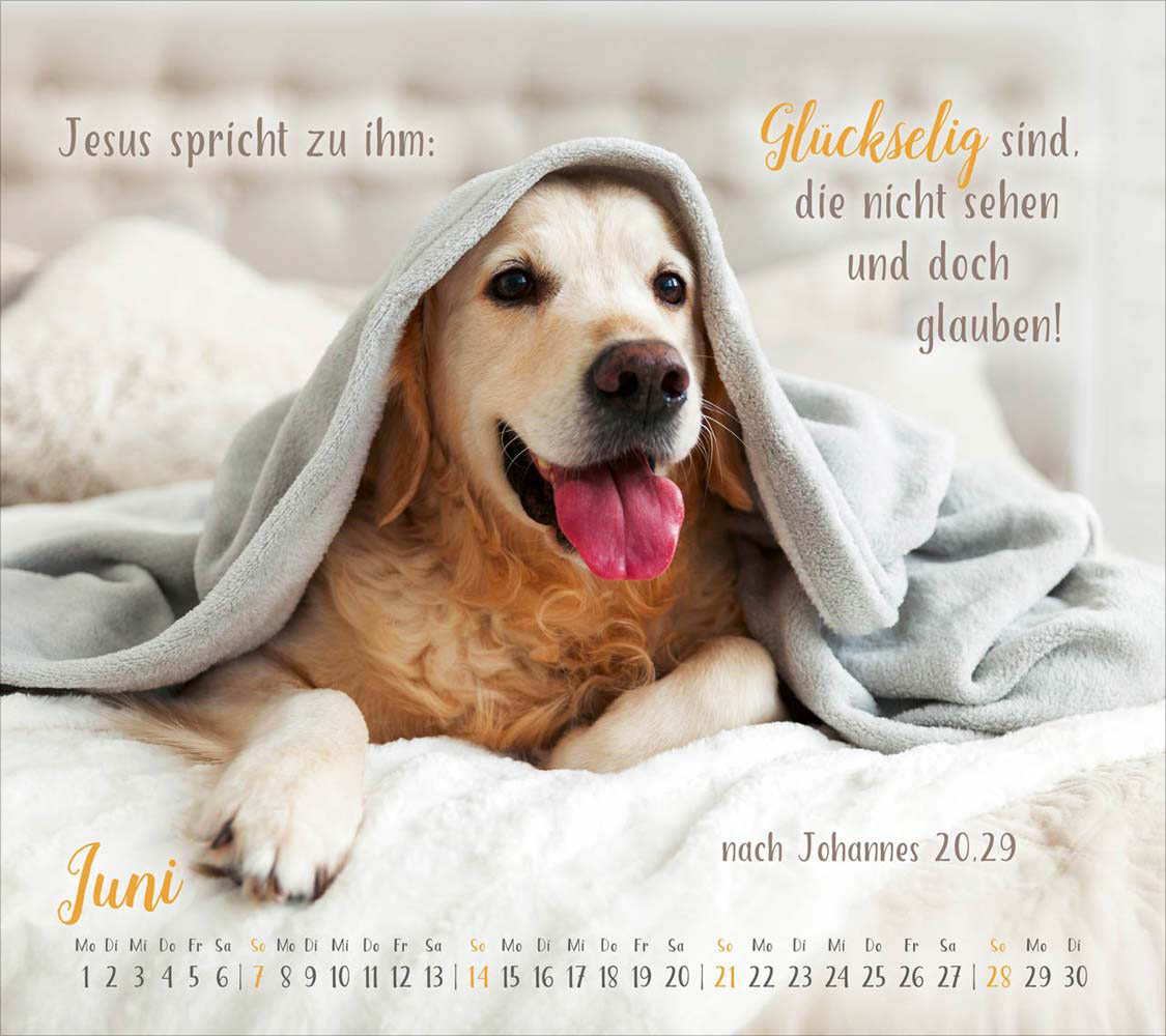 Segensworte 2026