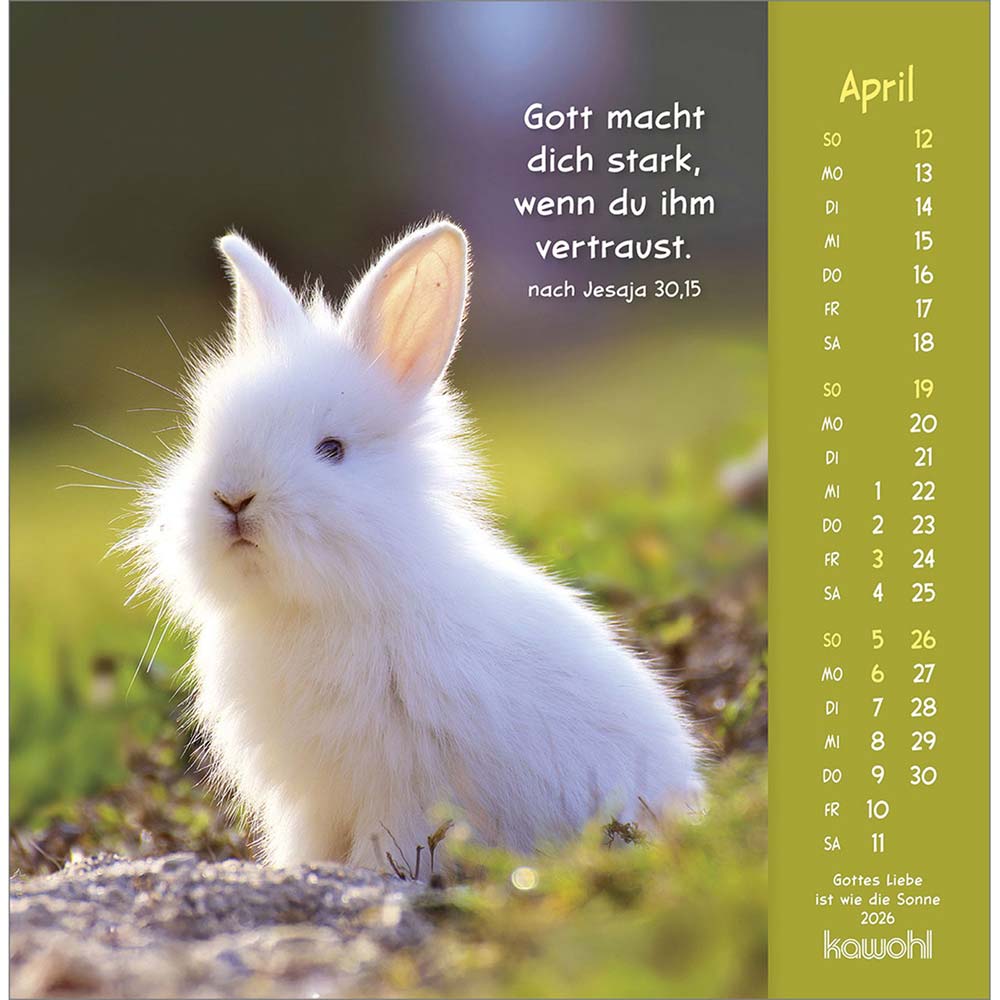 Gottes Liebe ist wie die Sonne 2026 - Postkartenkalender