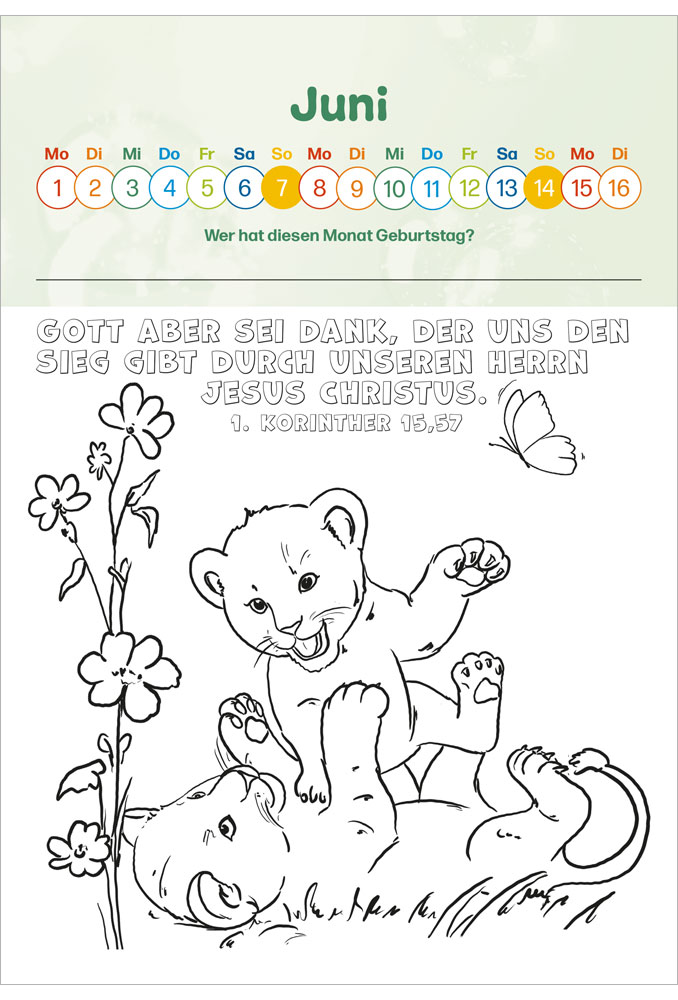 Lupino 2026 - Kinderkalender