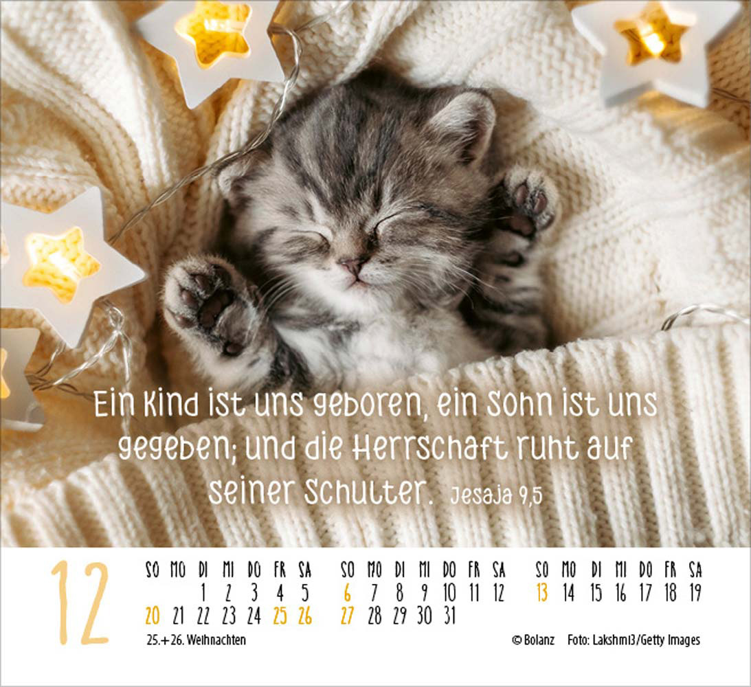 Katzen 2026 - Minikalender  