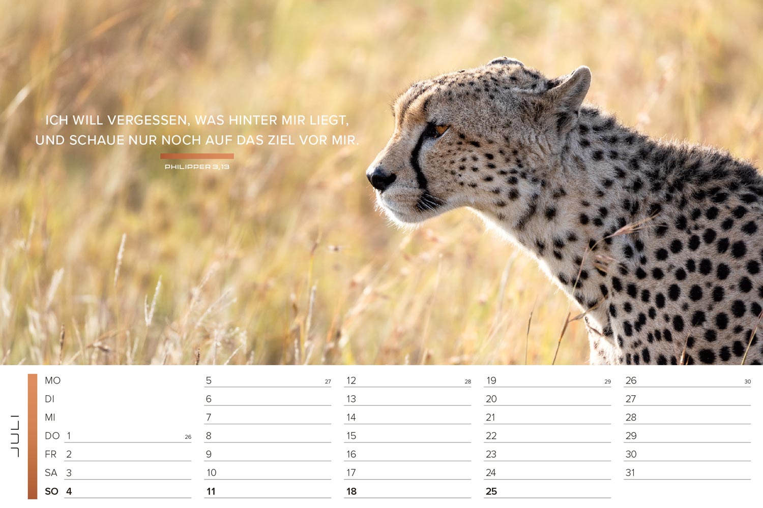 Life-is-More 2027 - Panoramakalender