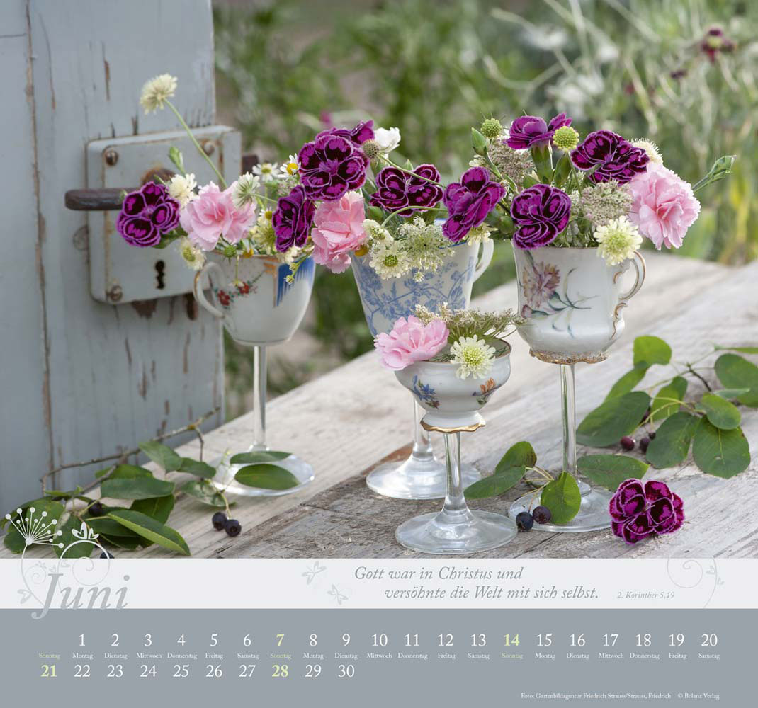 Im Garten zuhause 2026 - Wandkalender