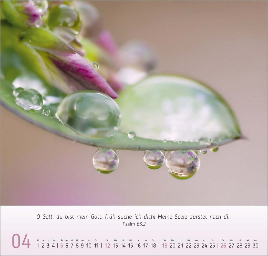 Gesichter der Natur 2026 Gesichter der Natur 2026