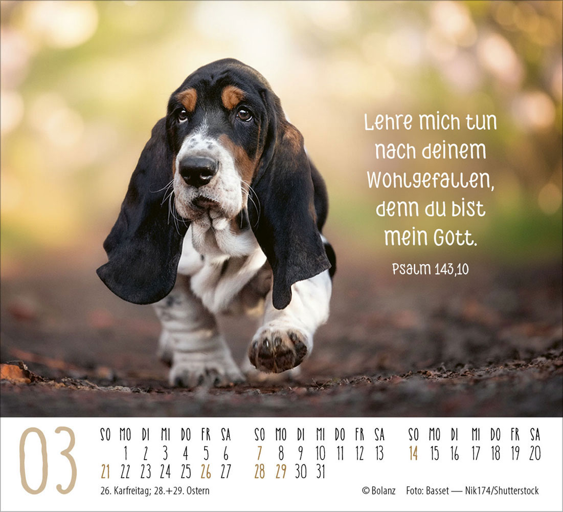 Hunde 2027 - Minikalender