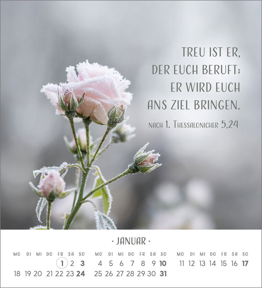 Zarte Blumengrüße 2027 - Tischkalender