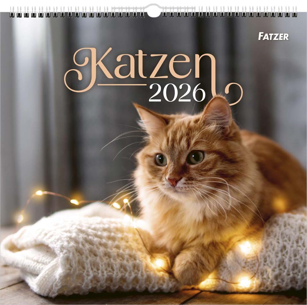 Katzen 2026 - Wandkalender