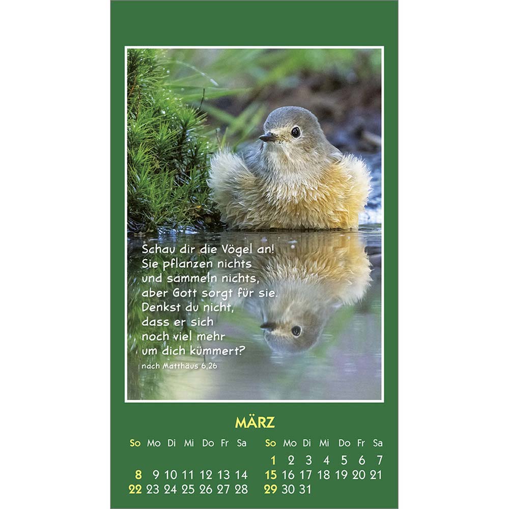 Hallo Du 2026 - Aufkleber-Kalender Hallo Du 2026 - Aufkleber-Kalender