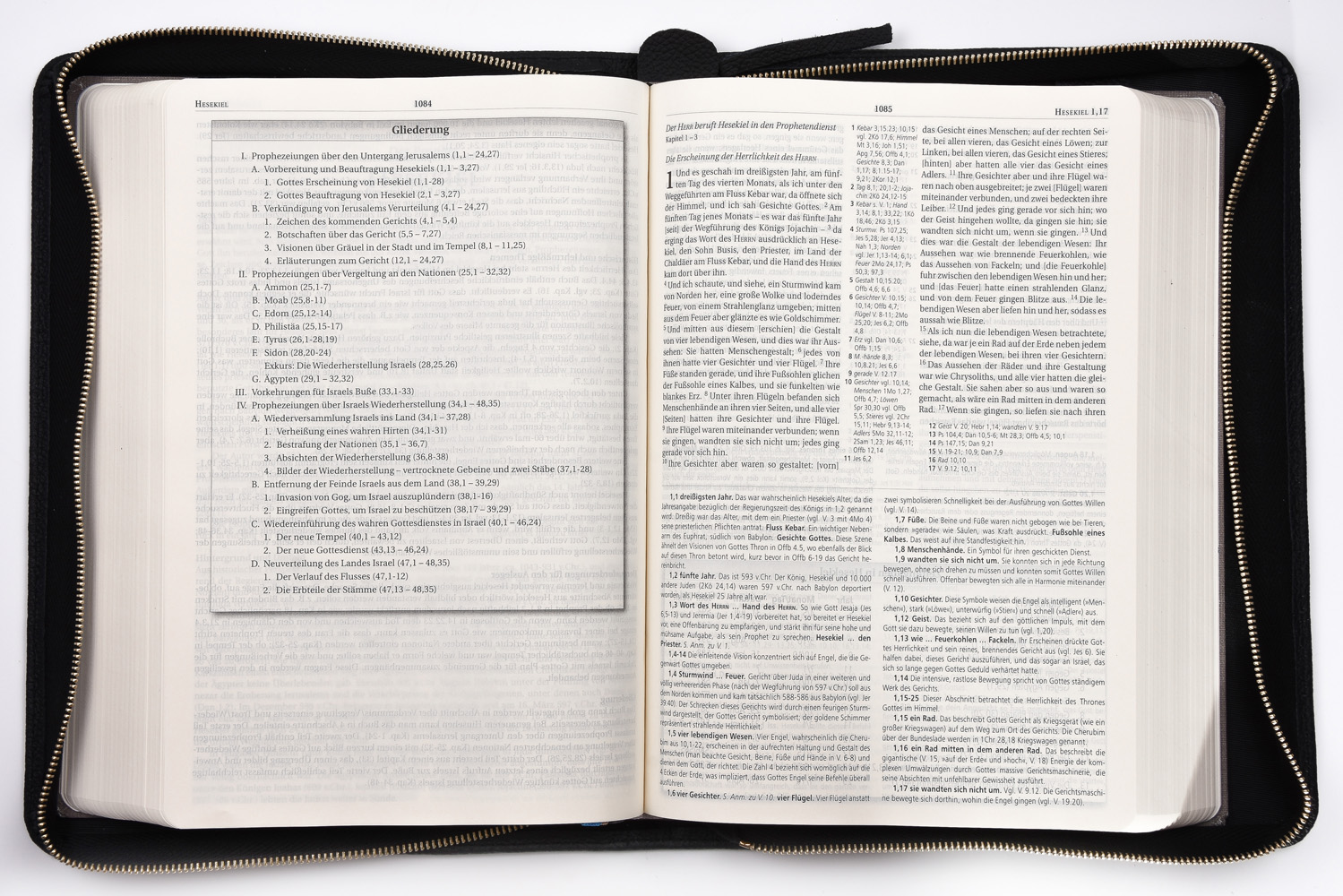 184775001_09 MacArthur Studienbibel - Hardcover mit Rindlederhülle