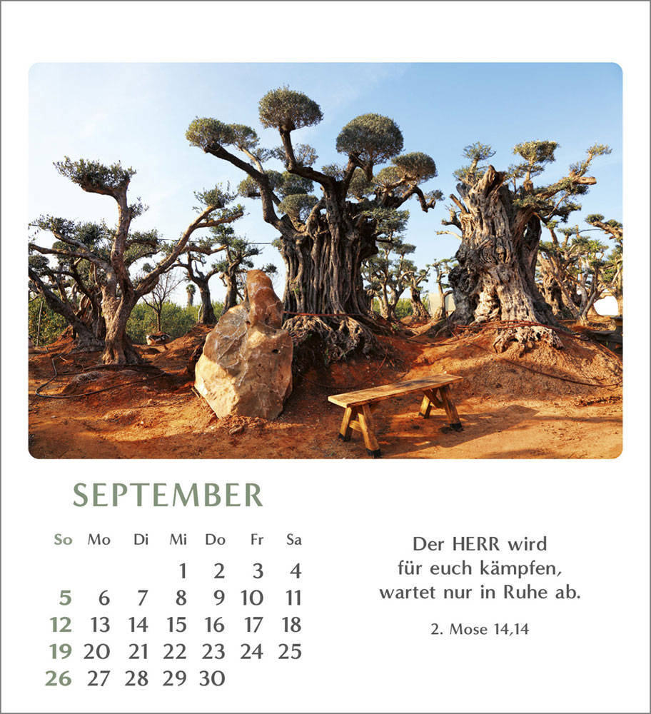 Geliebtes Israel 2027 - Verteilkalender