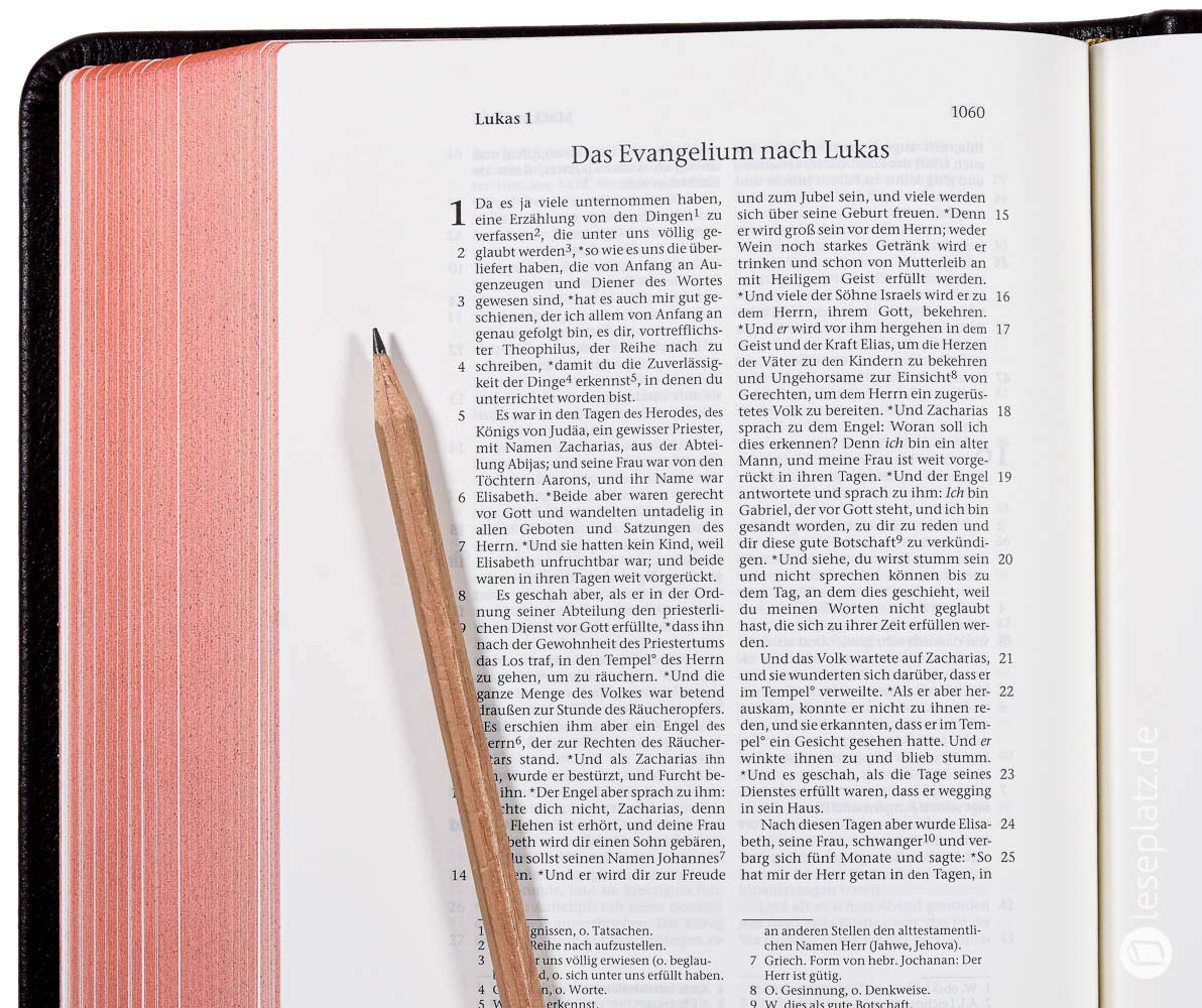 Elberfelder 2003 - gr.Schreibrandausgabe / Leder dunkelbraun Rotgoldschnitt