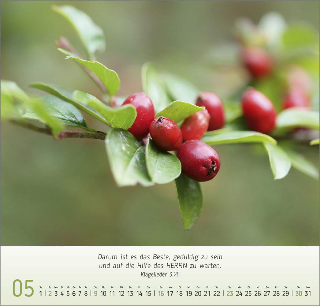 Gesichter der Natur 2027