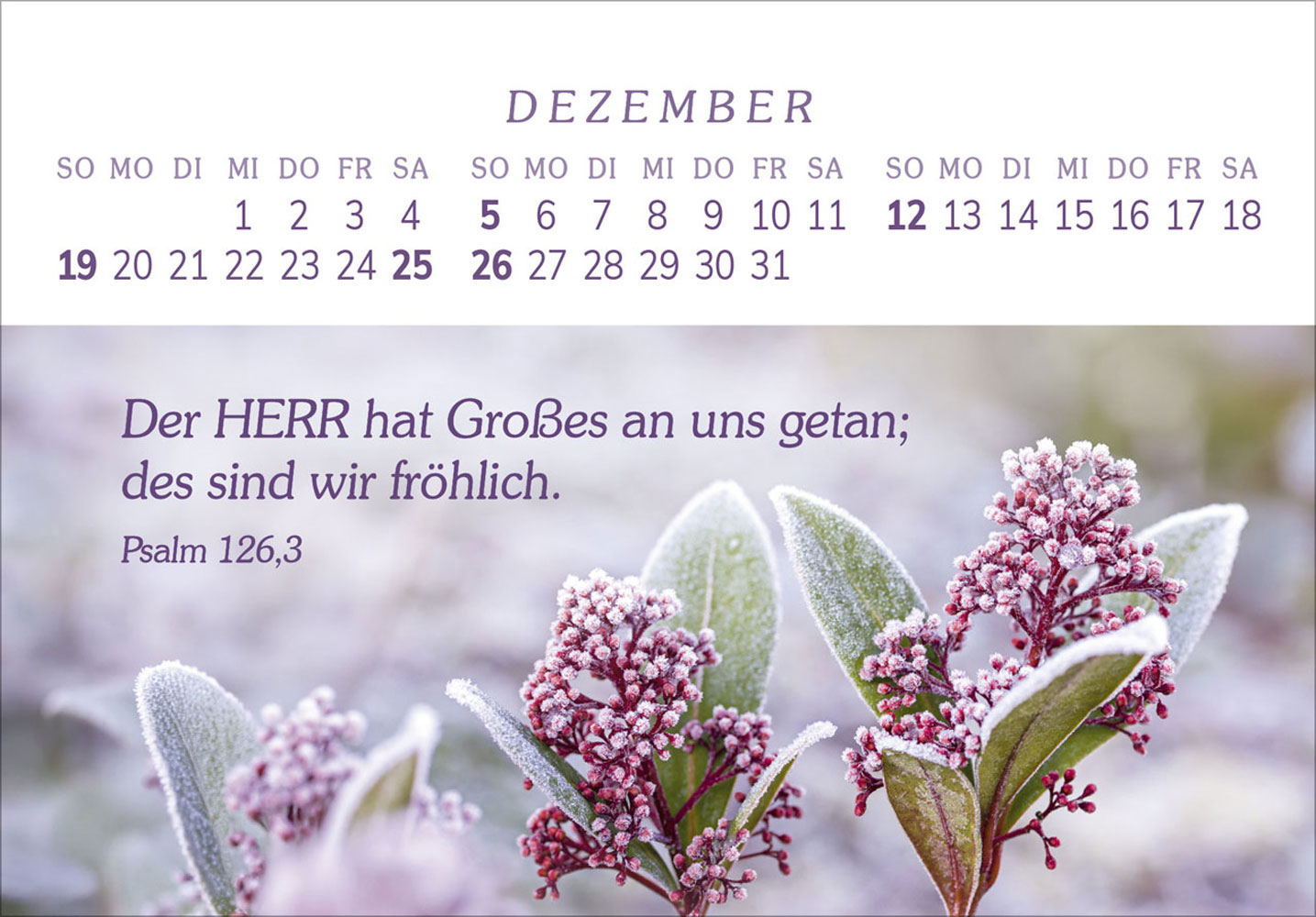 Das Geschenk der Freude 2027