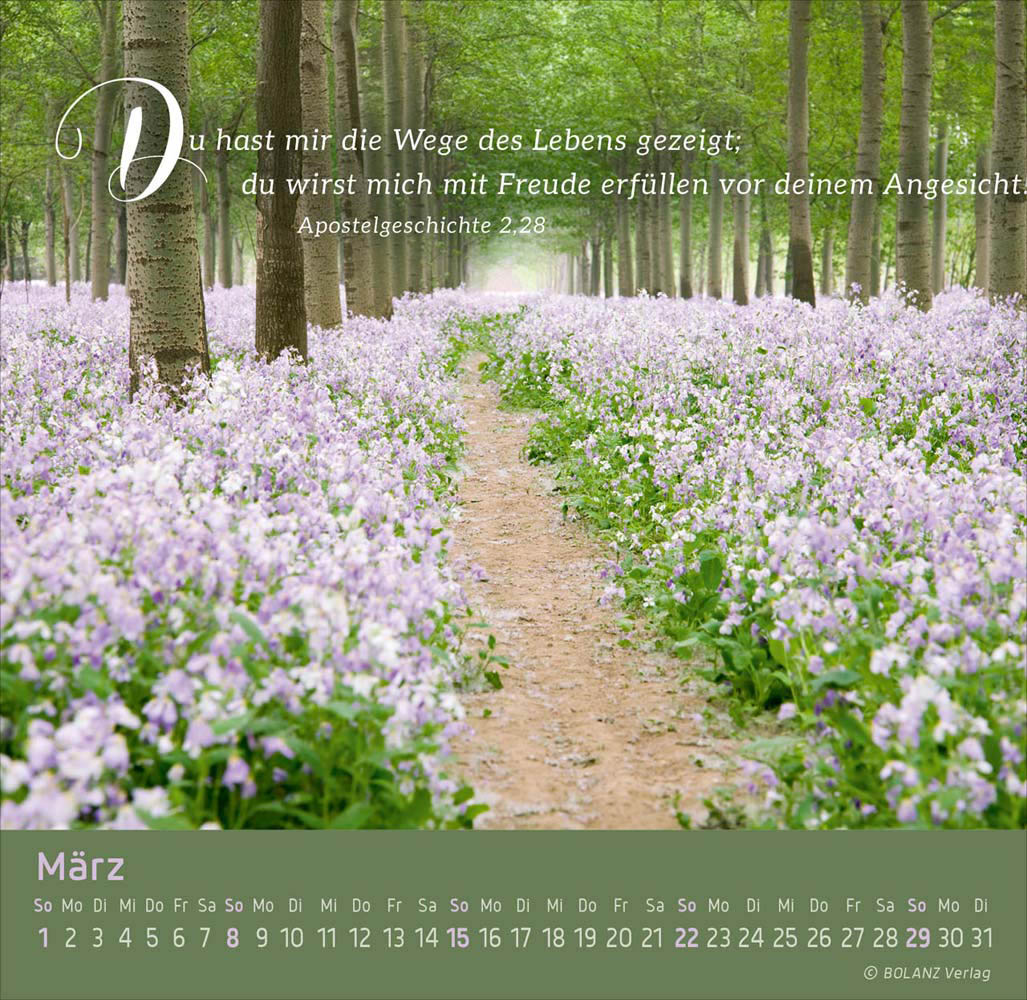 Weg - Licht - Leben 2026 - Tischkalender