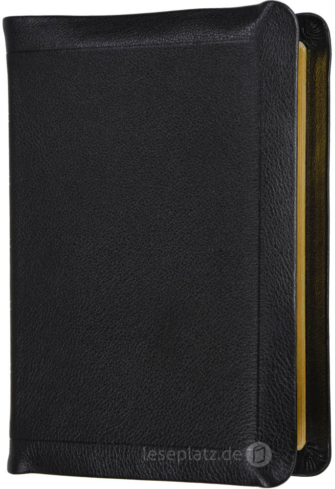 257153-Elb Elberfelder 2003 - Standardausgabe mit Notizseiten / Leder schwarz / Goldschnitt