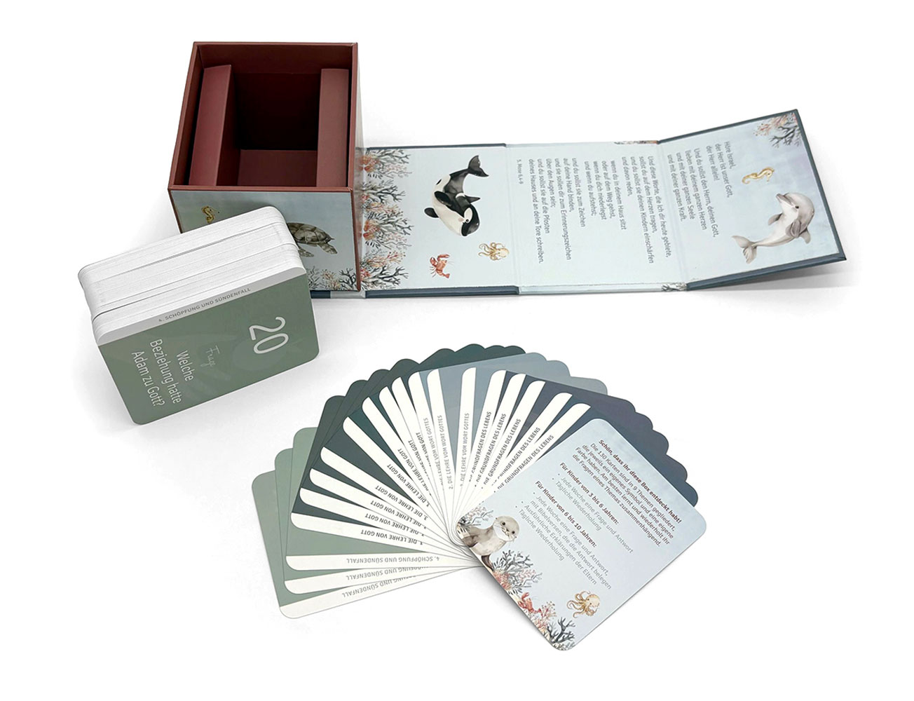 Biblische Glaubenslehre für Kinder - Kartenbox